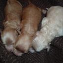 Barry Porter - @bport71 - Twitter