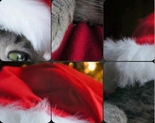 GameStudio9's profile picture. 