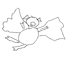 OmaWetterwachs's profile picture. Studentin, Editorin im SEO-Marketing, Autorin, bibliophil und mehr.