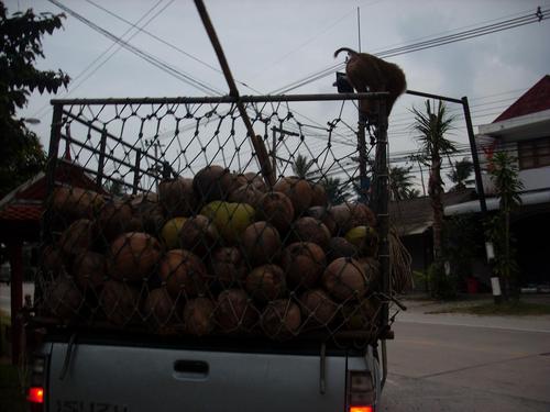 budgetresenaren's profile picture. Budgetresenären är till för alla oss som älskar att resa. Vi har tips om destinationer, jobb utomlands, hur man får pengarna att räcka längre och mycket mer.