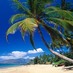 Honolulu Realty (@honolulurealty) Twitter profile photo Honolulu Realty (@honolulurealty) Twitter profile photo