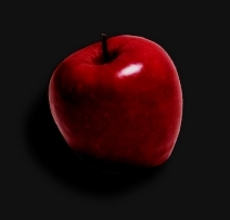 HambuTheGreat's profile picture. I'm unlike anyone you'll ever meet, but you'll never meet me anyway :P