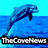 thecovenews's profile image