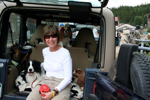 Retired pediatric nurse in Gunnison, CO. Democrat. Love my rescue Akbash Dog Popcorn, the mountains, the outdoors, kind people, and smart ones.