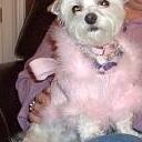 Stacy Mosier Winn - @WineLoverfromOC - Twitter