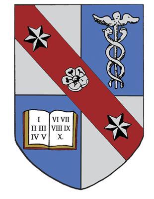 mrokl's profile picture. Noisy Rookie Retail Daytrader; premiumcarrot@gmail.com