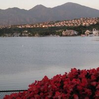 James Mok (@jmok007) 's Twitter Profile