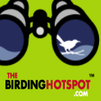 An online informational hub, e-store, and discussion forum for all things birding-related.