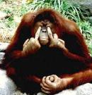 jrroscoe's profile picture. 