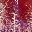 Steve Mattern - @OKmadhatter - Twitter