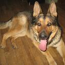 Mary Haws - @EverAfter777 - Twitter