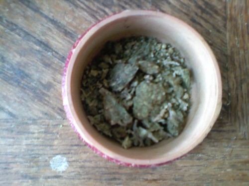 chicagobudsmoke's profile picture. just a squirrel trying to get some nuts off