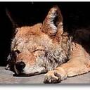 David Spears - @Big_Dave_Spiers - Twitter