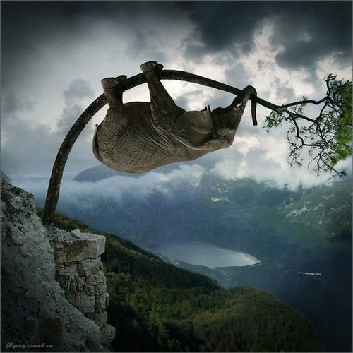 doctorsagar's profile picture. Need to explore a lot....