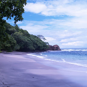 EcoLuxLifestyle's profile picture. We didn't coin the phrase ecological luxury, we just added the cutting edge style it needed...