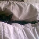 Olly Davis - @Ollymollie - Twitter