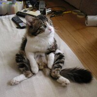 牛太郎 (@ootakashi) 's Twitter Profile Photo 牛太郎 (@ootakashi) 's Twitter Profile Photo