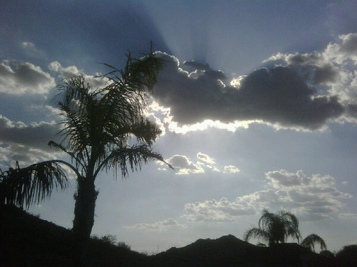 tynilsson's profile picture. 