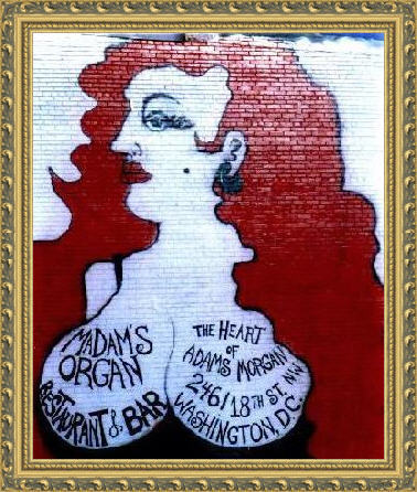 madamsorgan's profile picture. Washington DC has always been rich with Blues, R&B and Jazz and Madam's Organ Blues Bar is the place to find it!