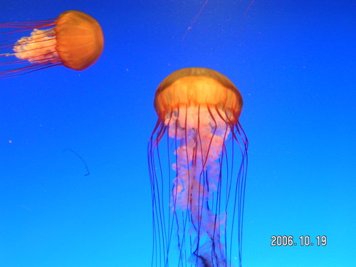 UncleKenKen's profile picture. 