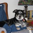 Barbara Teague - @betws86 - Twitter