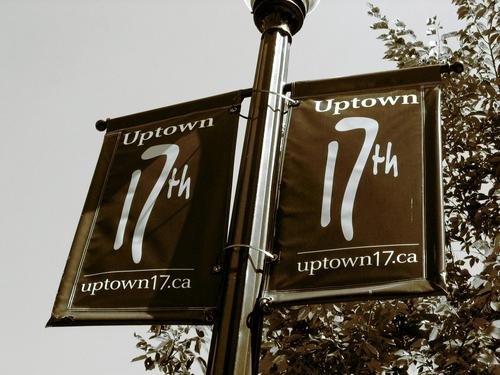 17th Avenue Calgary Profile