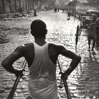 jungleegirl (@jungleegirl) 's Twitter Profile