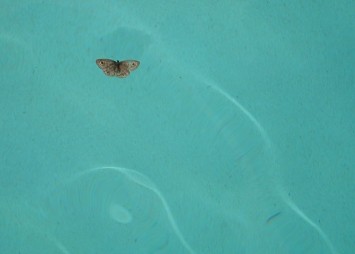 IstinP's profile picture. 