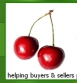 helping buyers and sellers cherry pick the best REALTOR for their specific needs