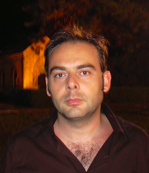 Digital Mind, analogic Behavior