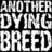 adbmusic's profile image