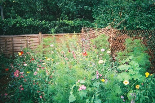 ES402009's profile picture. 