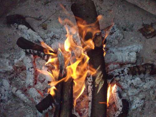 Gemparty's profile picture. 