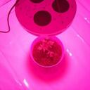 jo weaver - @jojodontyaknow - Twitter