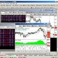 DayTraderTV's profile picture. 