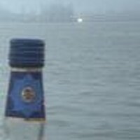 Helen Hasan (@bottlingfog) 's Twitter Profile Photo