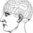 psychresearch's profile image