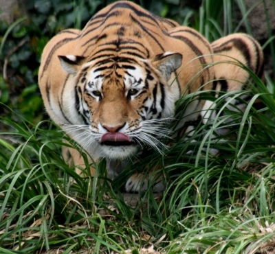 Out on the prowl for restaraunt reviews, good eats, traveling tips, fitness deals, and martial art seminars.  Woot!