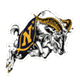 Navy Midshipmen Buzz