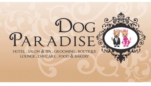 We provide services for dogs and cats. Retail Store and Online Store for daily needs, foods, grooming services, hotel services, daycare services, n many more