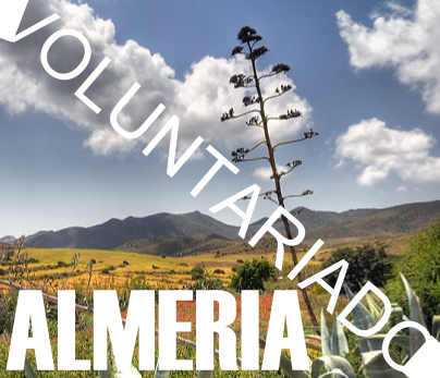 ALvoluntariado's profile picture. 