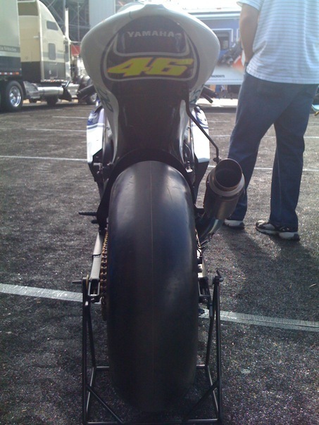 nesba's profile picture. 