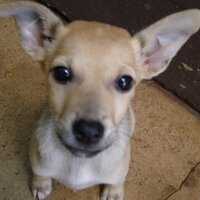 ROAR (@roarcomm) 's Twitter Profile