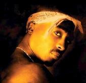 models4us's profile picture. 