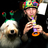 Famtasmag's profile image