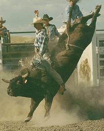 EckrothRodeo's profile picture. I sell Bucking Bulls and Domestic/Export Bull Semen