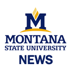 MSU News Service