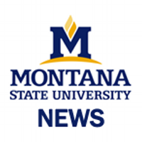 MSU News Service (@msunewsservice) 's Twitter Profile Photo