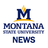 msunewsservice's profile image