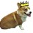 elearningqueen's profile image